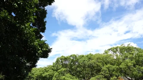 Timelapse of the white clouds moving along the blue skies Stock Footage 341343324