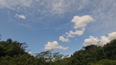 Timelapse of white clouds moving fast over tropical rainforest Stock Footage 320055657