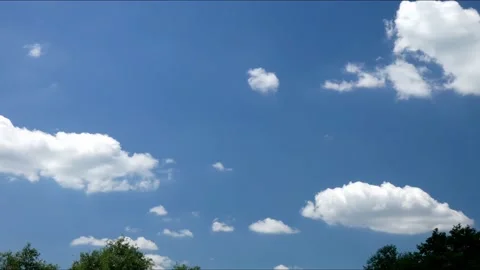 Timelapse of white fluffy clouds in blue sky moving over crowns of trees Stock Footage 237605514