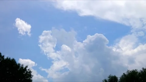 Timelapse of white fluffy clouds in blue sky moving over crowns of trees Stock Footage 237608074