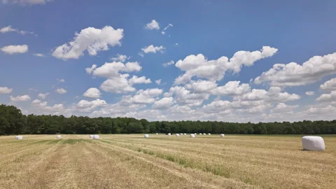 Timelapse: white, round, newly wrapped bales of high moisture wheat sit under Stockbeeldmateriaal 337181651