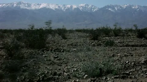 Timelapse wild flowers 스톡 동영상 11606834