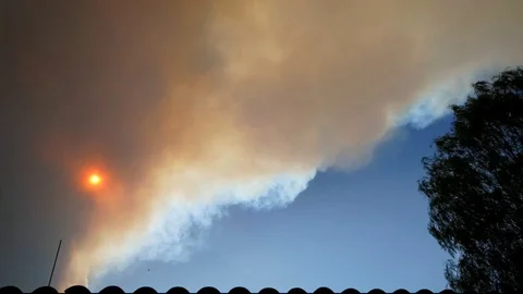 Timelapse of a wildfire while smoke cloud covers sun birds and airplanes Stock Footage 118554090