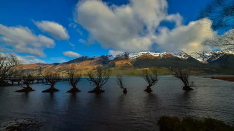 Timelapse Willow Trees And Cloud At Glenorchy 4K Stock Footage 32165668