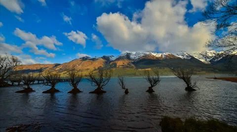 Timelapse Willow Trees At Glenorchy 12fps Full HD 1080p 스톡 동영상 32165663