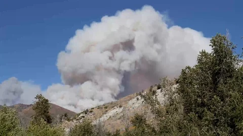 Timelapse-Wind in trees clouds of churning smoke rise-Pole Creek fire Utah Stock Footage 95256482