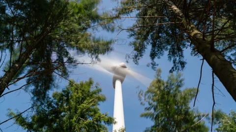Timelapse of a wind turbine in a forest Stock Footage 151714063