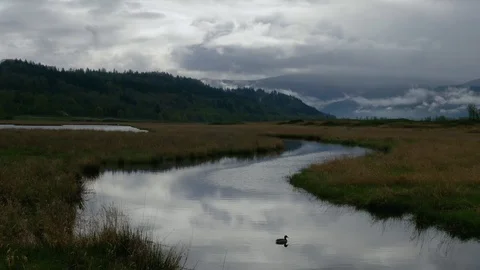 Timelapse of winding river on a dramatic cloudy day Vidéo 107039268