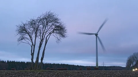 Timelapse of windmill and tree in the evening moving clouds Stock Footage 83827229