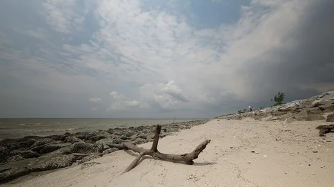 Timelapse of Windy Beach With Moving Clouds Stock Footage