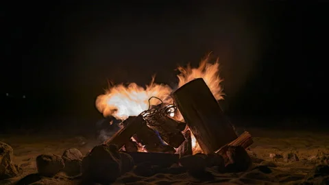 Timelapse - Windy Bonfire at Ocean Beach Stock Footage 182621418
