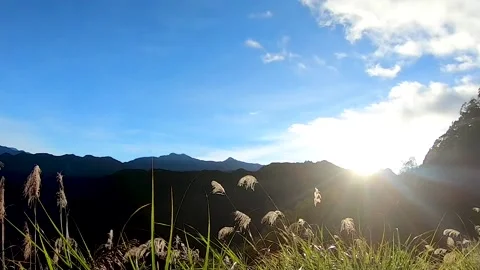 Timelapse of windy cloudy sunrise Stock Footage 154977031