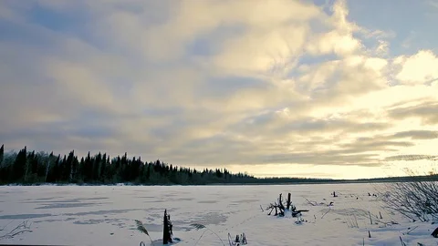 Timelapse. winter landscape the surface of the lake frozen in the snow old dry t Stock Footage 95805417