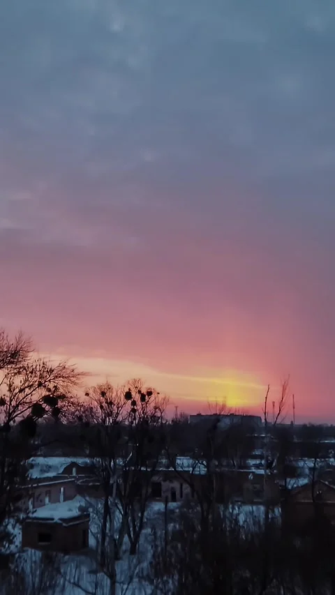 Timelapse, winter sunset over the snow-covered city, dark outlines of bare trees Stock Footage 317535063