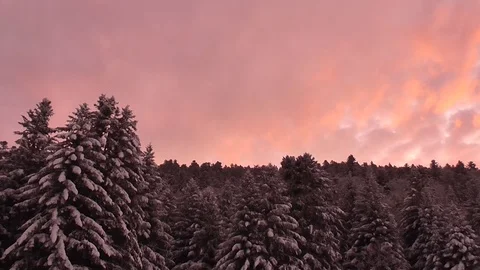 Timelapse winter sunset pink clouds and snowy pine trees in moutain Stock Footage 111994298