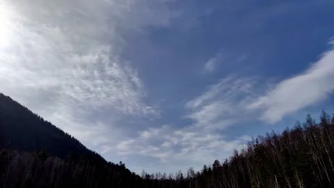 Timelapse wispy clouds drifting across blue sky above forested valley. Stock Footage 328968521