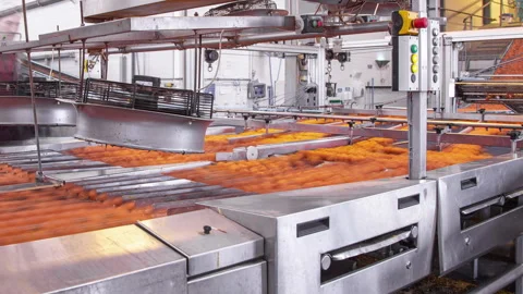 Timelapse of a worker controlling egg production inside a Poultry Farming Stock Footage 258420533