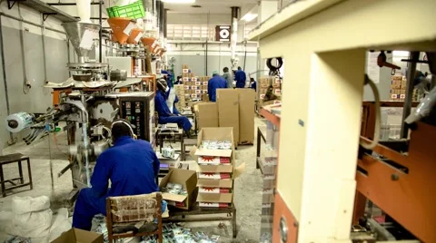 Timelapse of Workers in a Packing Workshop Stock Footage 61131377