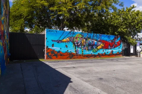 Timelapse Wynwood Stock Footage 122132000