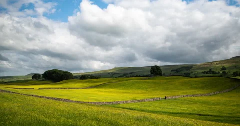 Timelapse of yellow buttercup fields in Yorkshire Dales Stock Footage 337228251