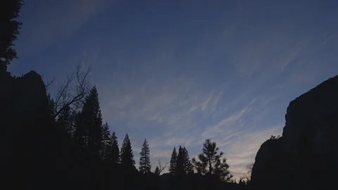 Timelapse Yosemite Pine Trees against dusk sky Stock Footage 122400796