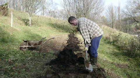 Timelapse of Young Gardener working in the garden with spade Stock Footage 44227877