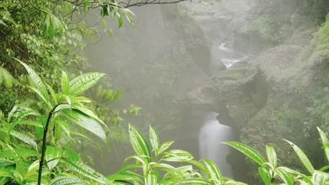 Timelapse zoom out view Davi's waterfall time lapse panorama. Davis falls f.. Stock-Footage 308500139