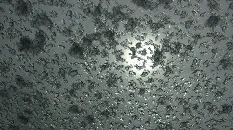 Timelapsed snow melts on window from the sun (High Definition) Stock Footage 69217