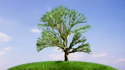 TimelapseGrowingTreeClouds30fps Stock Footage 731781