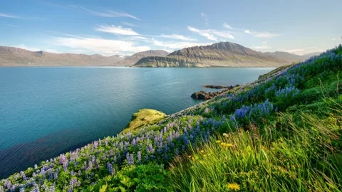 Timelapse/Hyperlapse of clouds moving over mountainous ocean inlet Video stock 310645913