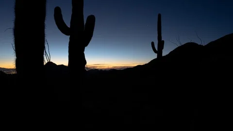 Timelapse/Hyperlapse of sunrise in a desert valley with cactus Video stock 125288323