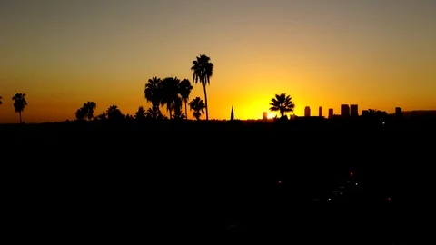 TimelapseLASunsetPalm Stockbeeldmateriaal 123568563