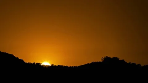 Timelapse,Sunrise tree Stock Footage 79412602