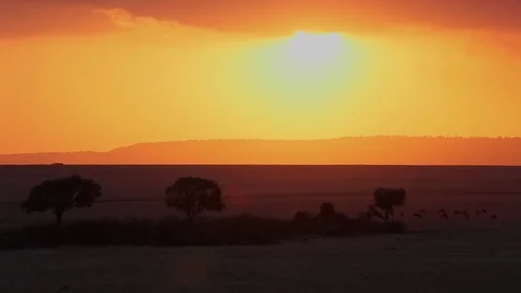 Timelaspe Stock Footage 69871253