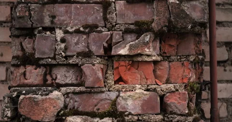 Timeless Beauty: Exploring the Crumbling Red Brick with Moss Accents Stock Footage 242805290
