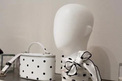 Timeless classic on store shelf. White with black dots on necktie and handbag Stock Photos