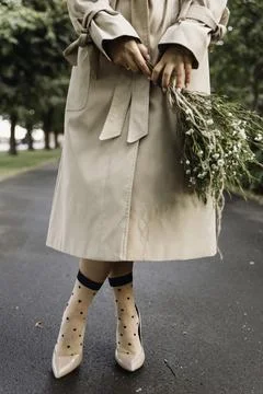 Timeless Elegance Stock Photos