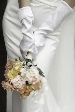 Timeless Elegance Stock Photos