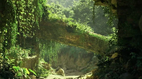 Timeless natural structure showcasing indigenous engineering ingenuity Video stock 342432166
