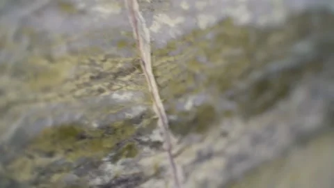 Timeless Patterns: The Art of Marble Texture Video stock 306296884