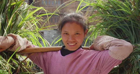 Timeless portrait of a real unique authentic Asian Chinese village woman farmer Stock Footage 201095063