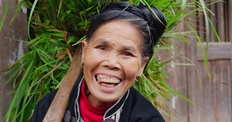 Timeless portrait of a real unique authentic Asian Chinese village woman farmer Stock Footage 201096539