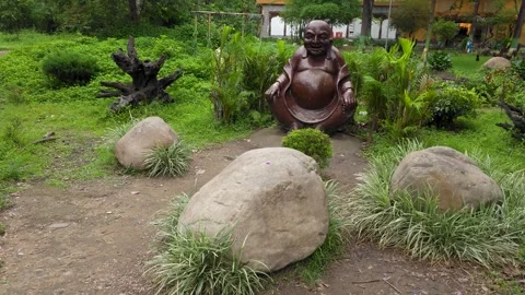 Timeless Tranquility: Buddha Statues Surrounded by Nature Stock Footage 313564607
