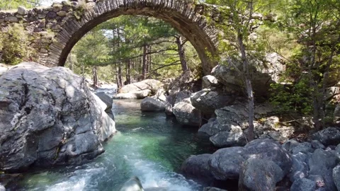 Timeless Traverse: Ancient Stone Bridge in a Sylvan Setting Stock-Footage 253585709