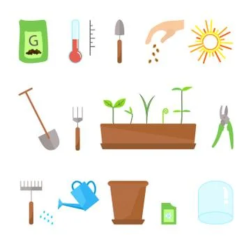 Timeline infographic of planting tree process Stock Illustration