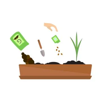 Timeline infographic of planting tree process Stock Illustration
