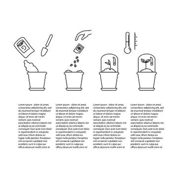 Timeline infographic of planting tree process Stock Illustration