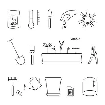 Timeline infographic of planting tree process Stock Illustration