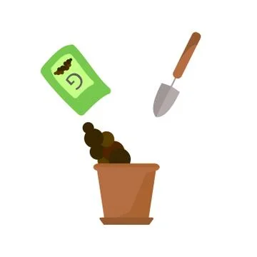 Timeline infographic of planting tree process Stock Illustration