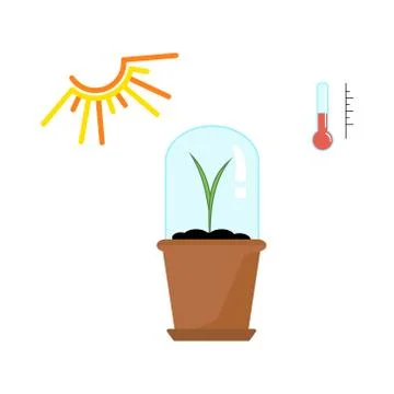 Timeline infographic of planting tree process Stock Illustration